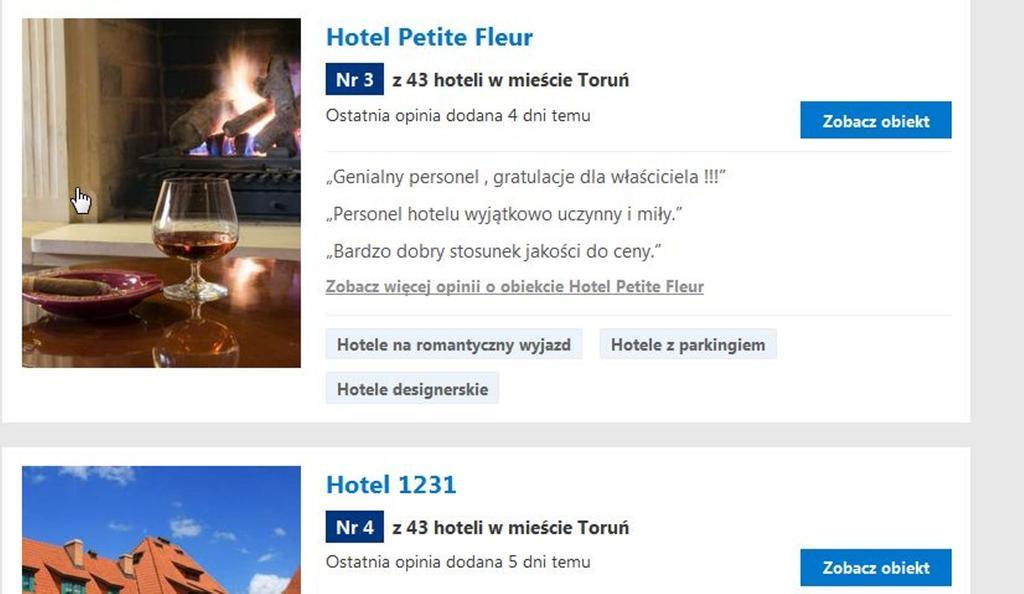 Hotel Petite Fleur - Adults Only ! Air-Conditioning ! Stary Toruń Εξωτερικό φωτογραφία
